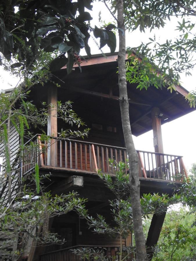 Bed and Breakfast Wilpattu Tree House Nochchiyagama Экстерьер фото