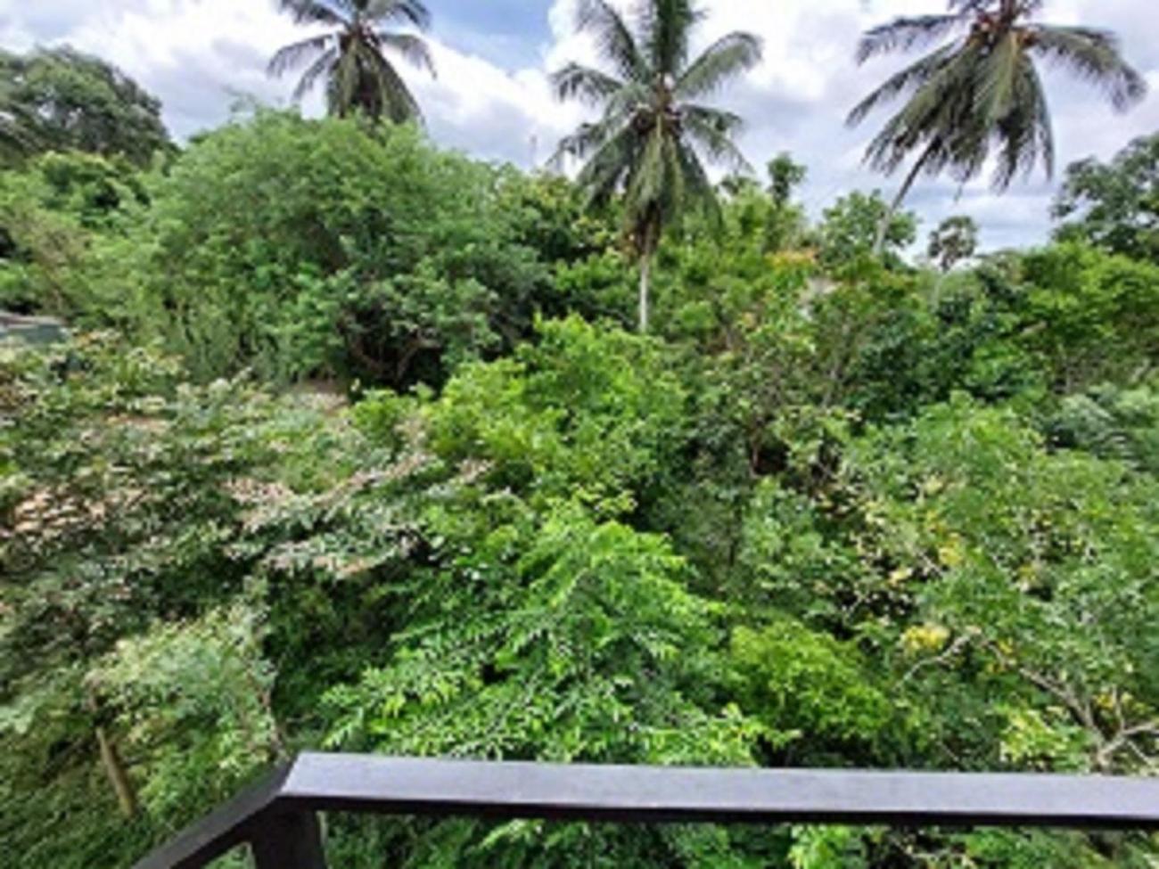 Bed and Breakfast Wilpattu Tree House Nochchiyagama Экстерьер фото