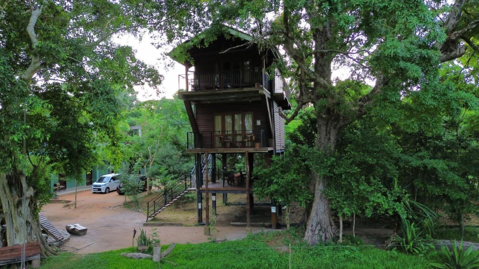 Bed and Breakfast Wilpattu Tree House Nochchiyagama Экстерьер фото